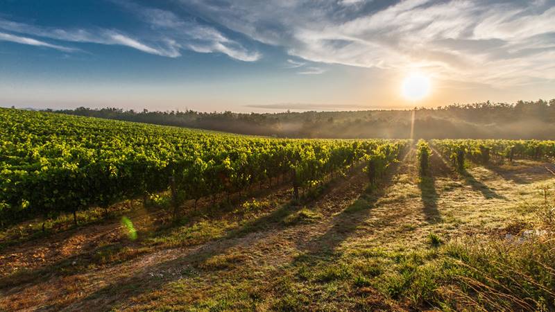 chianti